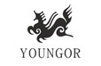 操鸡扒梦江南与YOUNGOR合作